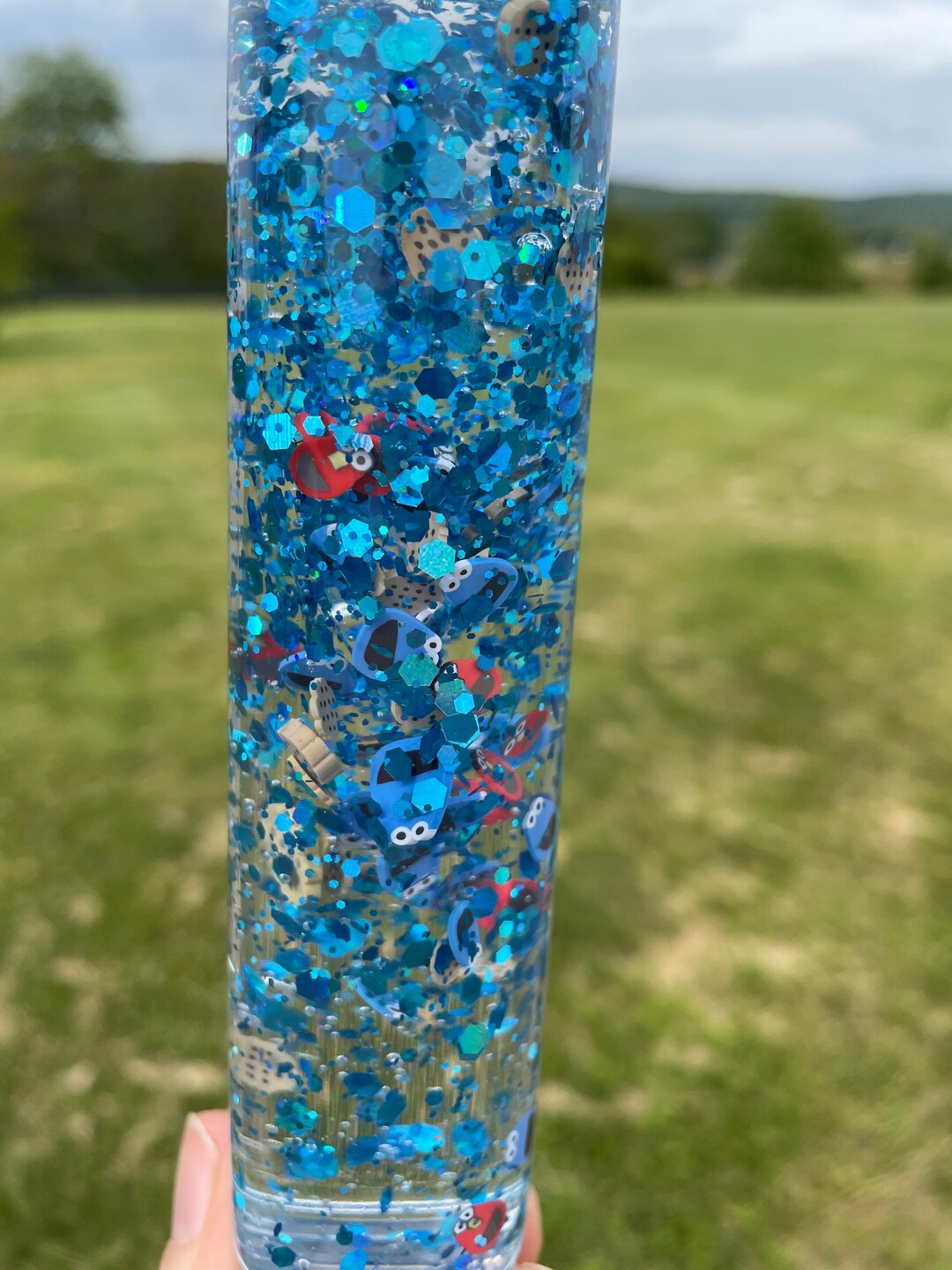 Cookie Monster Sensory Bottles Calm Down Bottles Anxiety Etsy