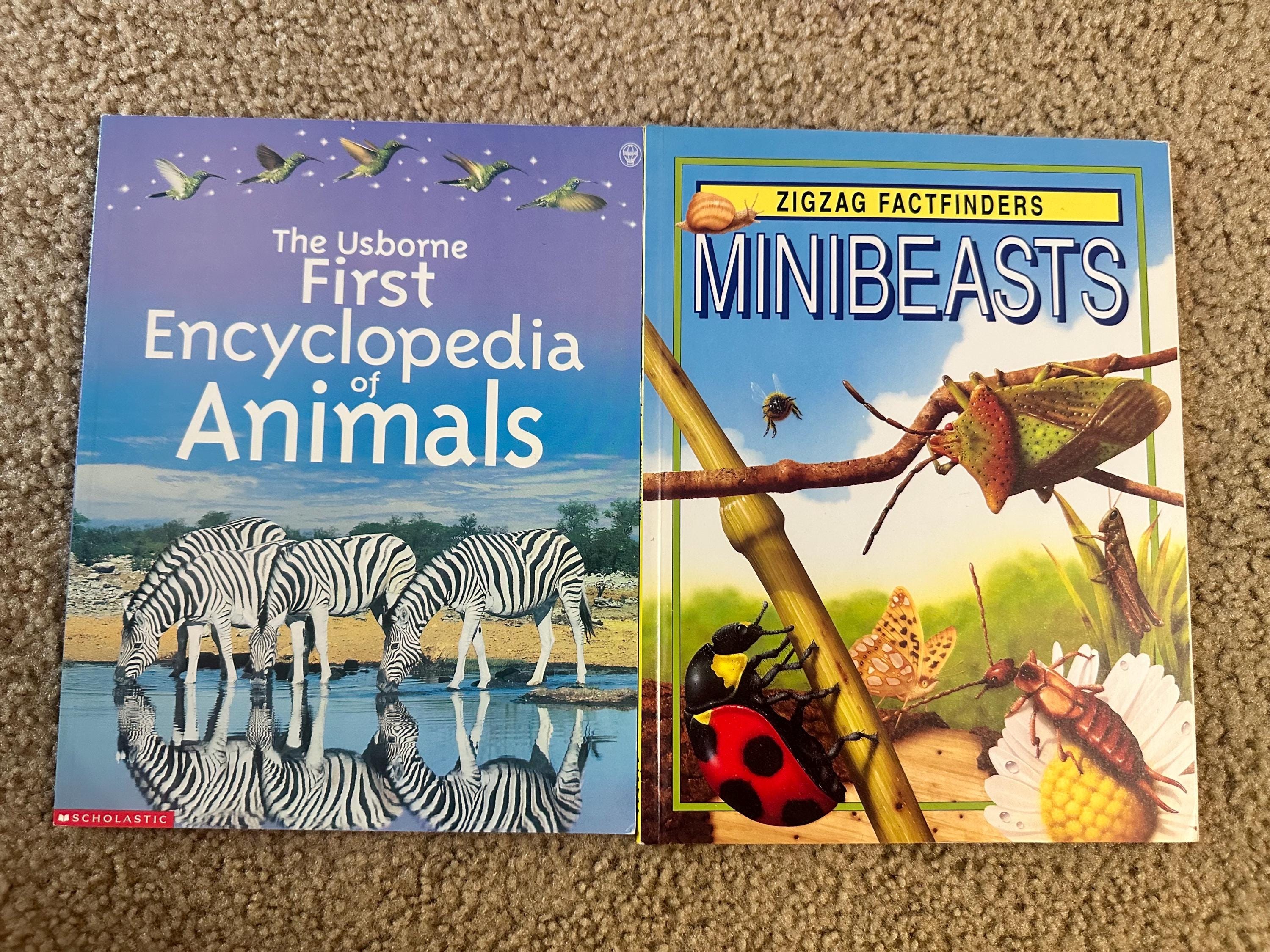 Kids Encyclopedia Set - Etsy