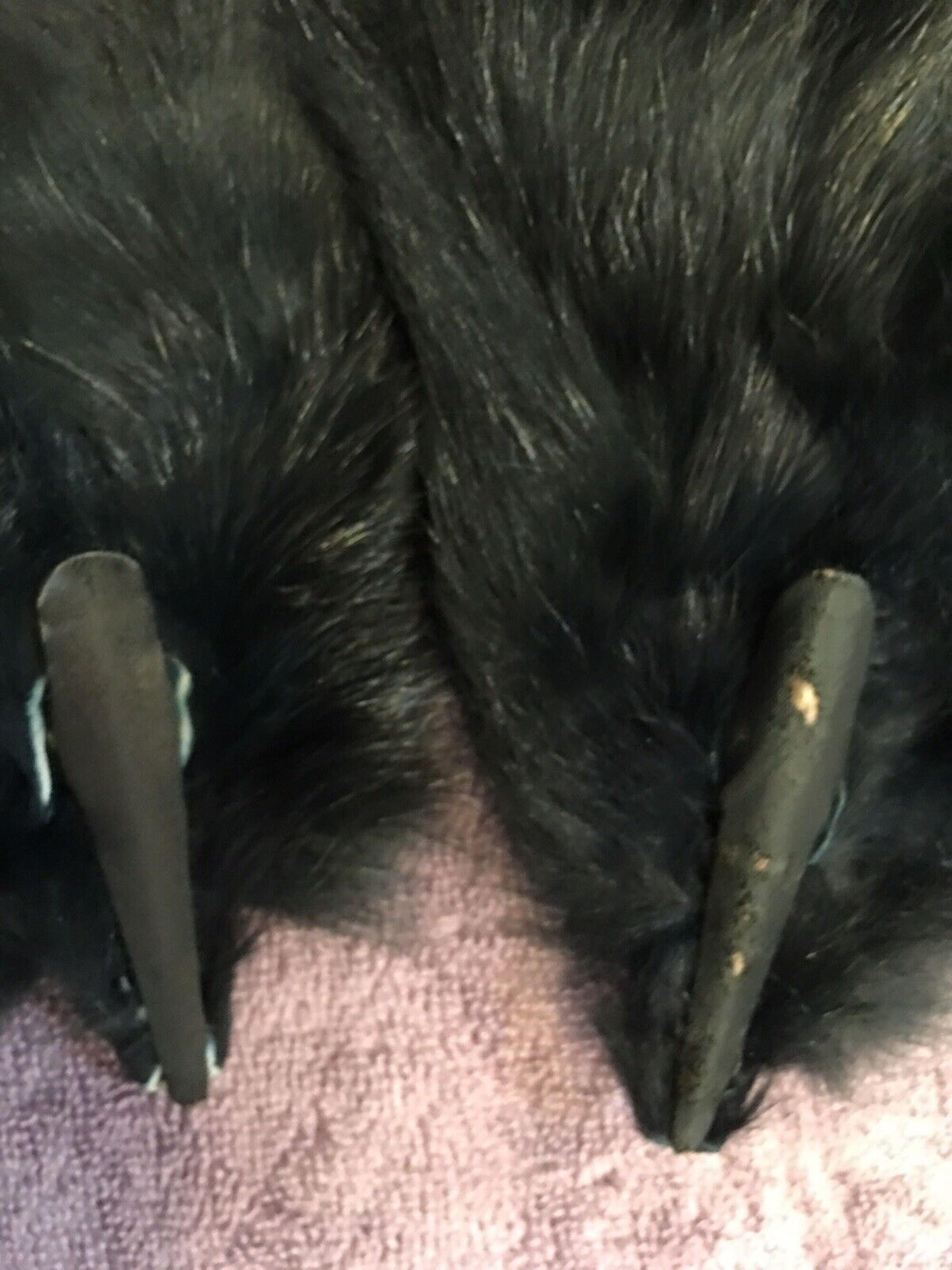 Real Fur Scarf, Natural Black Fur Collar or Boa Stole W 2 Hidden Single