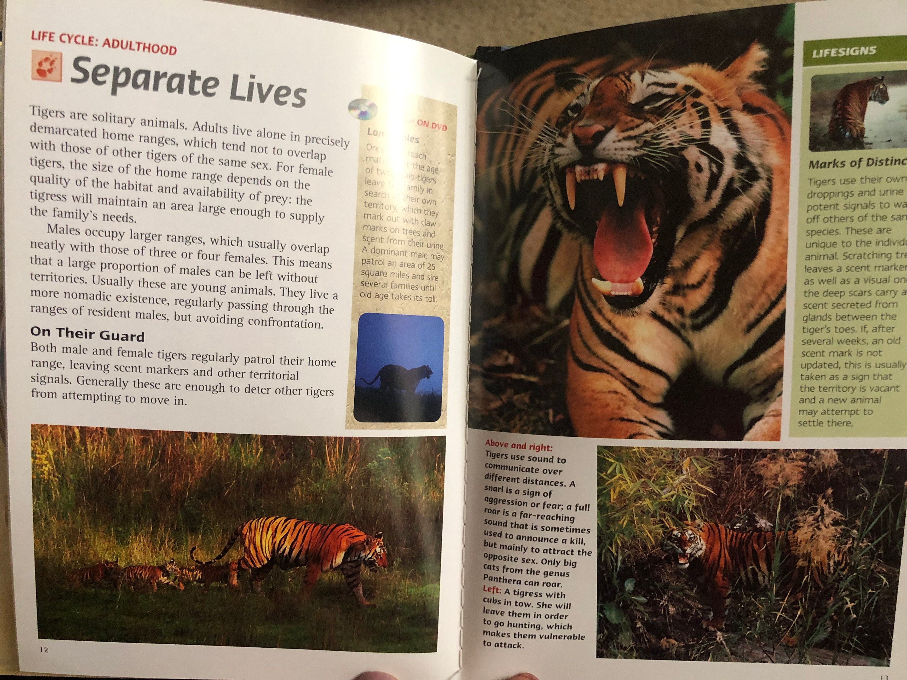 その他 Wildlife Survivors: Tiger [DVD] s-l400.jpg