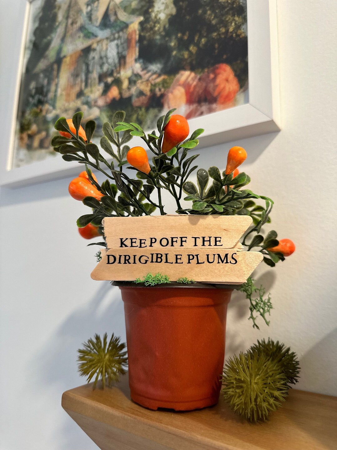 Dirigible Plum Plant Etsy