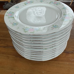 china garden prestige - 12 dinner plates 10.5