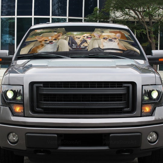 Disover Chihuahua Car Sunshade, Dog Car Decoration, Chihuahua Lover, Auto Sun Shade
