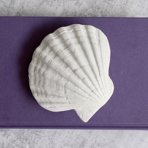 White Poly Sea Shell Ornament, 13cm | Decorative Faux Shell