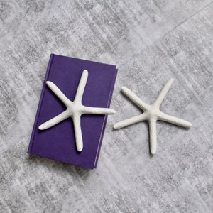 Ornamento de decoração de estrela do mar branca costeira - conjunto de 2 | Decoração de peixe estrela falsa | Presentes de peixe estrela