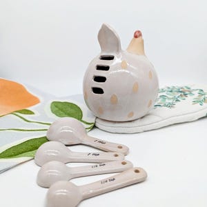 Juego de 5 cucharas medidoras para pollo / Regalos para hornear imagen 5
