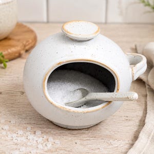 May include: A round, speckled white ceramic salt cellar with a wide side opening, a matching lid, and a small matching spoon resting inside. The interior of the container is dark, and the exterior features a light-colored glaze with brown speckles.