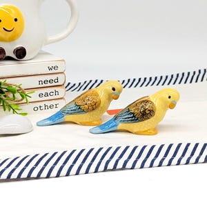 Pode incluir: Duas figuras de periquitos de cerâmica. Os pássaros são amarelos com detalhes em marrom e azul. Estão posicionados sobre uma superfície branca com uma borda listrada azul e branca. Uma caneca branca e blocos de madeira empilhados com a frase "we need each other" estão ao fundo.