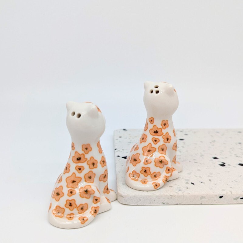 Set Sale E Pepe In Ceramica A Forma Di Gatto - Design Divertente, Regalo Perfetto Per Amanti Degli Animali - Foto 7
