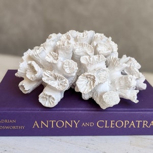 Artificial White Coral Decorative Ornament | Faux Coral Decor