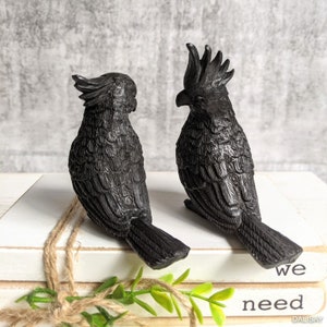 May include: Two black bird figurines with detailed feather patterns. The birds are perched on a stack of books with the words "we need" visible on the top book.