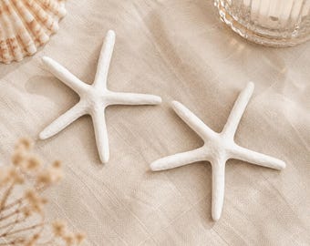 Coastal White Starfish Decor Ornament - Set of 2