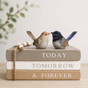 Blau Braun Wren Vogel Figuren-Set | Wohndekor