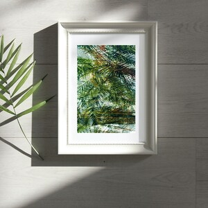 Film Photography Print—Limited Edition