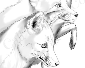 realistic fox coloring pages