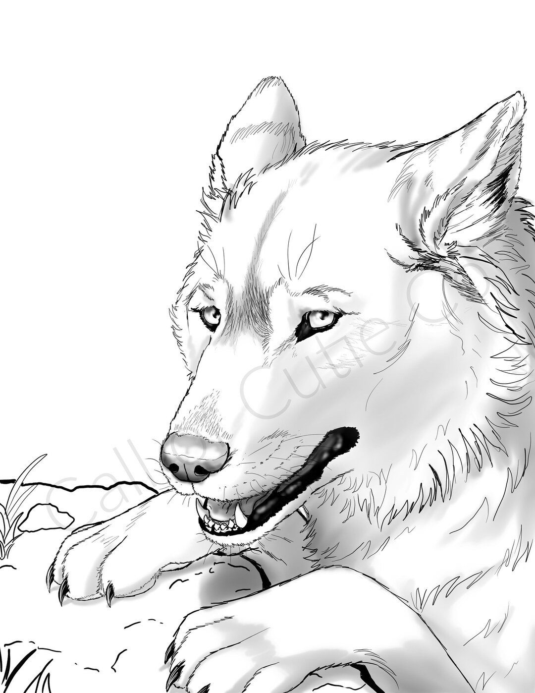 Anime Wolves Coloring Pages