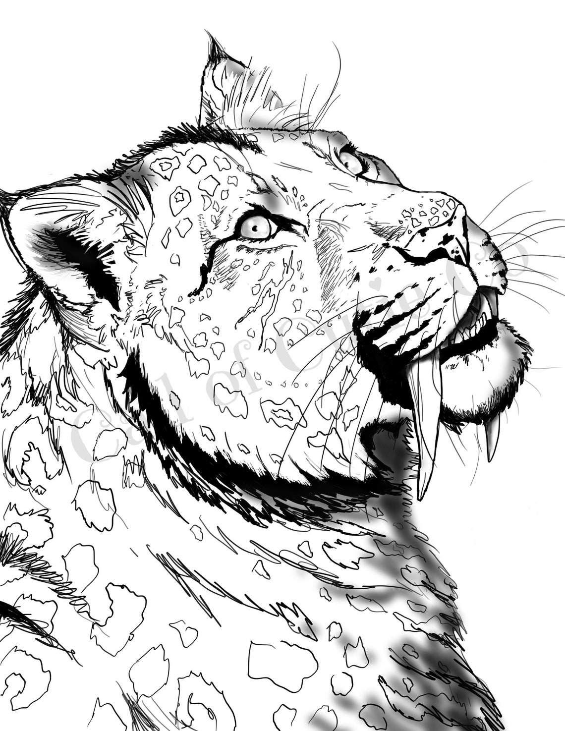 Saber Tooth Tiger Coloring Page Animal Color Pages | Etsy