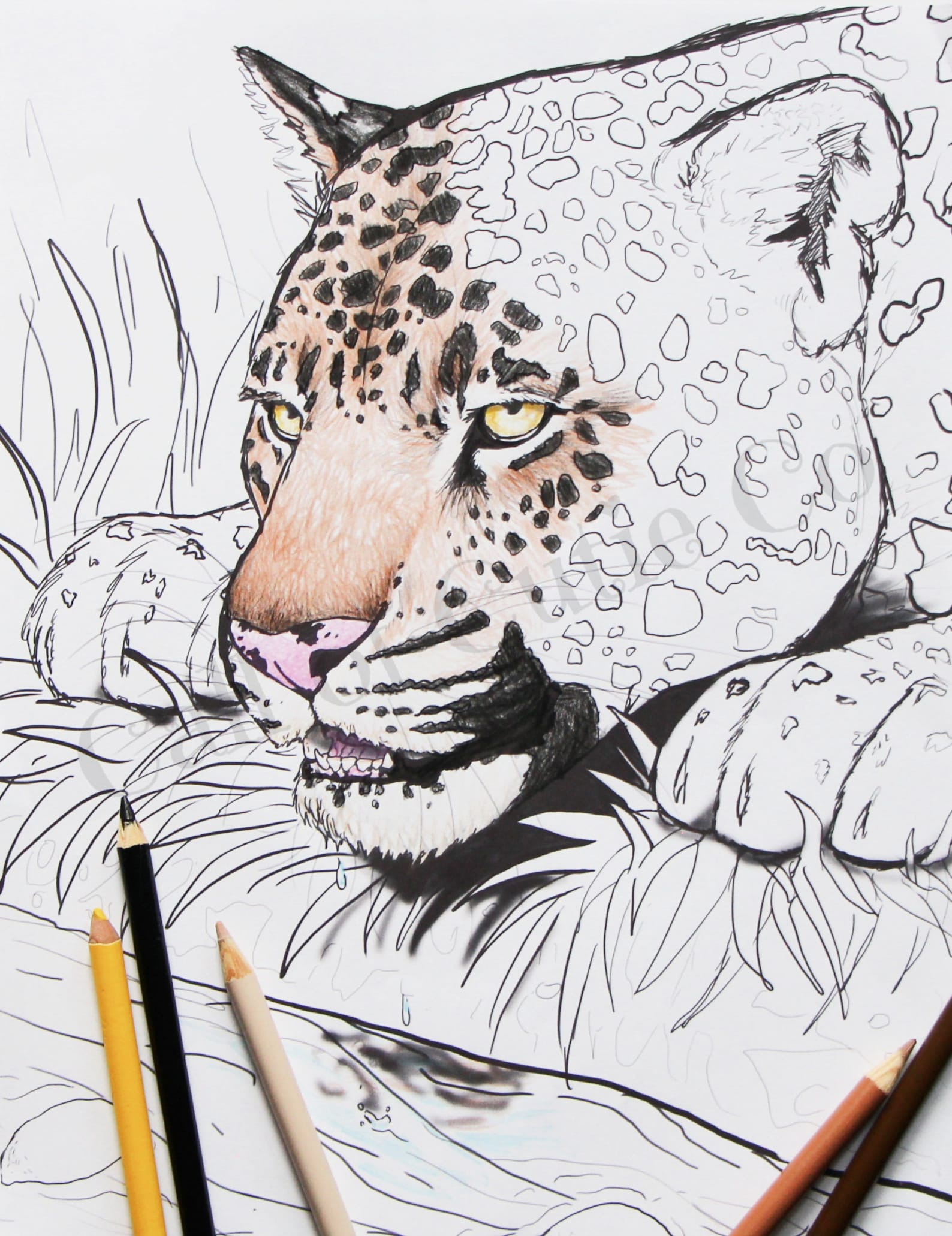 Jaguar Coloring Page, Animal Coloring Page - Etsy