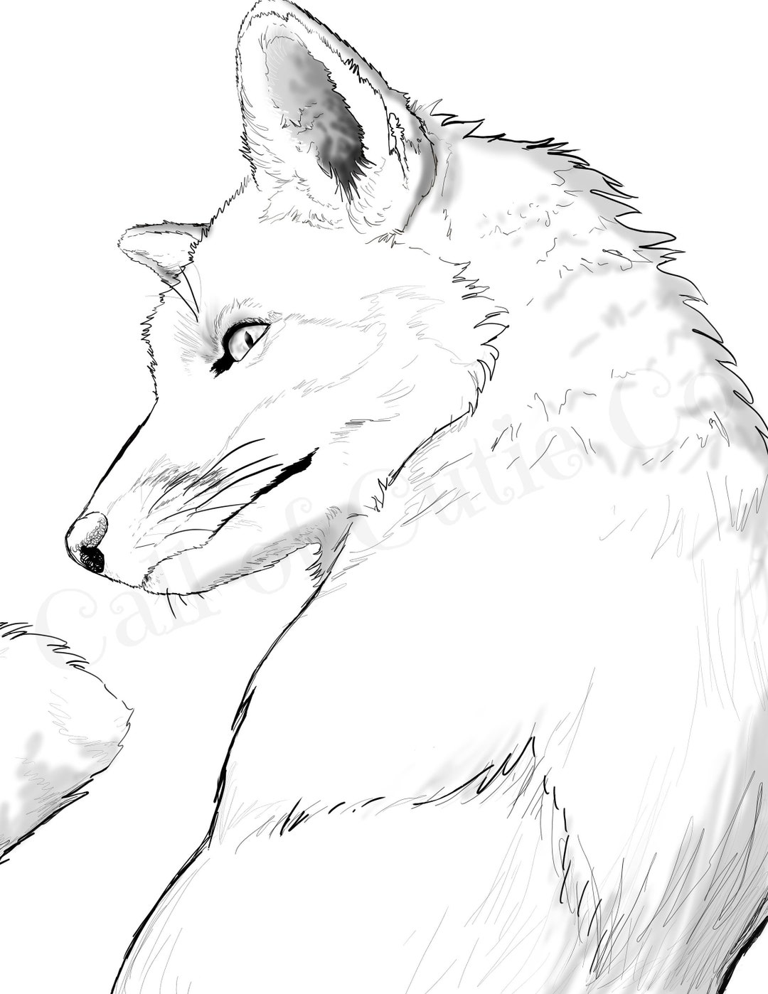 Red Fox Color Page/digital Fox Coloring Pages/animal Coloring Pages - Etsy