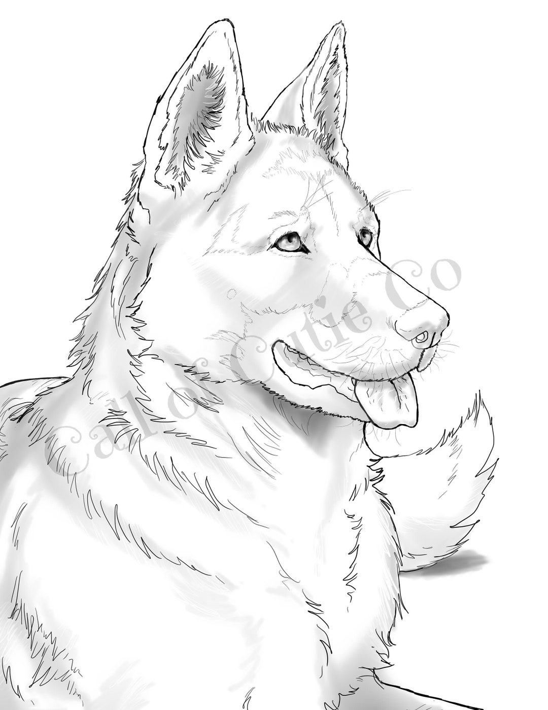 Baby German Shepherd Coloring Pages