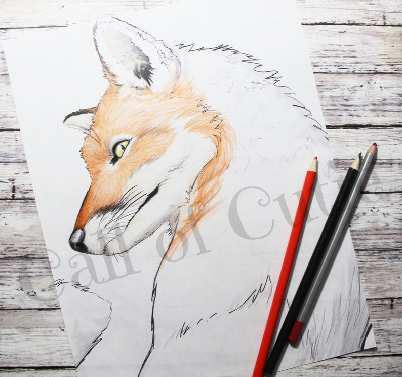 Red Fox Color Page/digital Fox Coloring Pages/animal Coloring Pages - Etsy