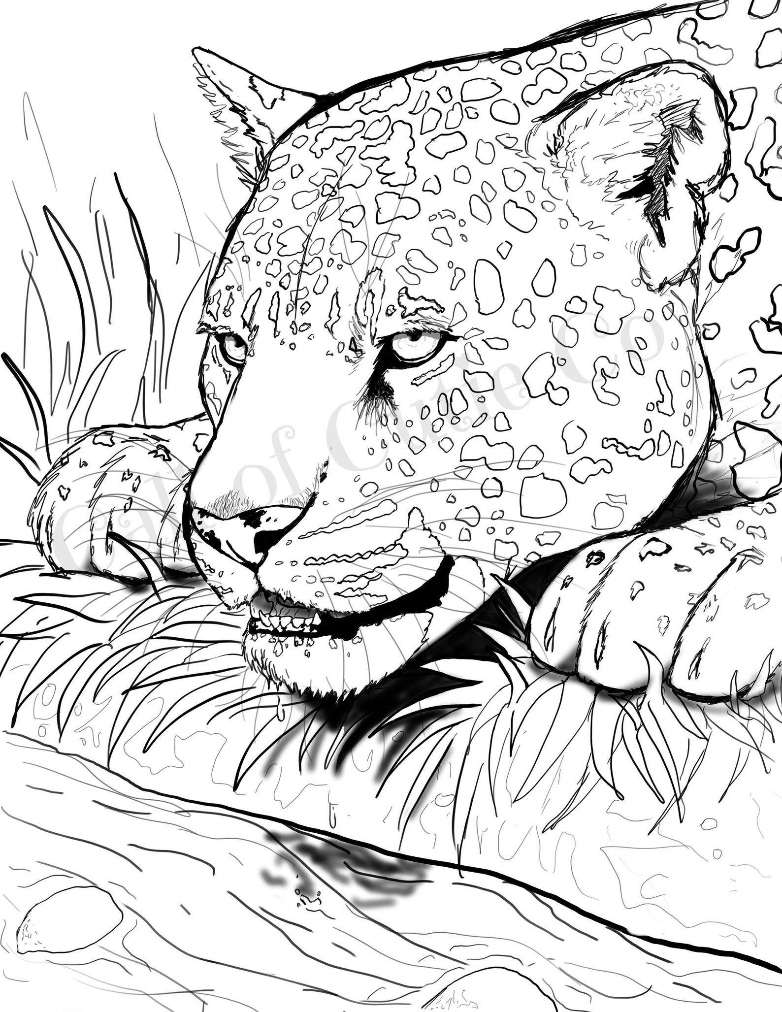 Jaguar Coloring Page Animal Coloring Page - Etsy