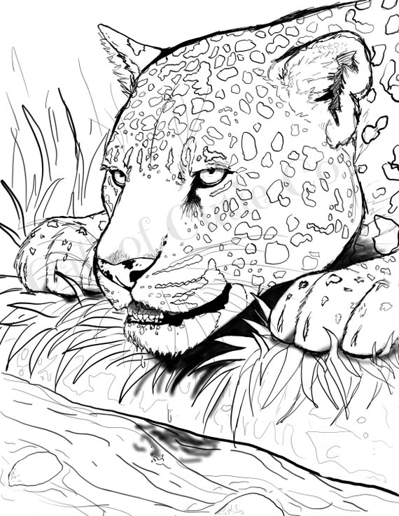 Jaguar Coloring Page Animal Coloring Page - Etsy Australia