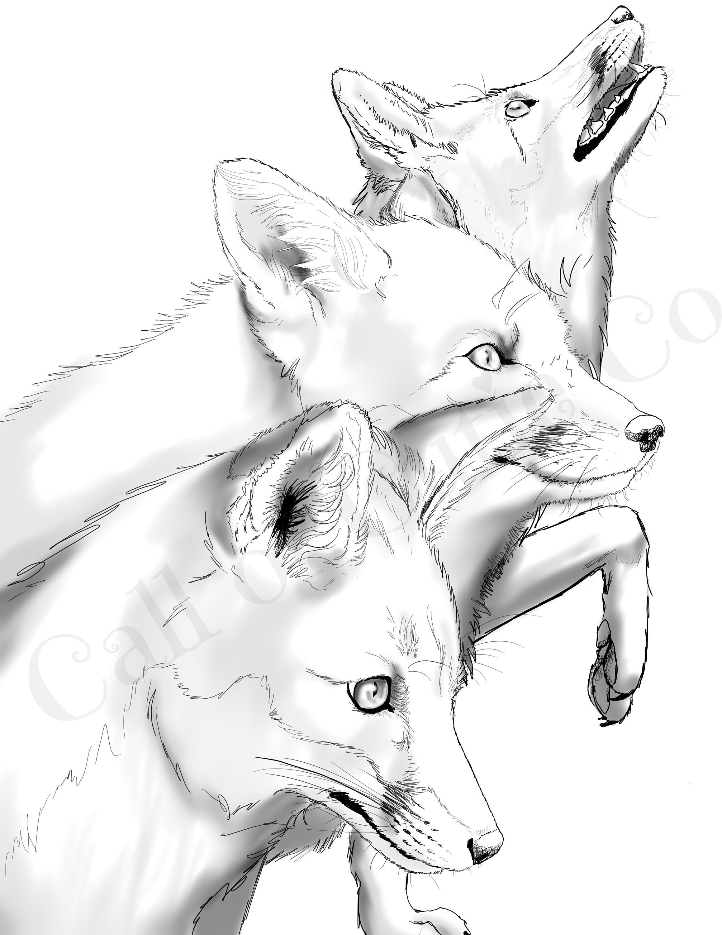 realistic fox coloring pages