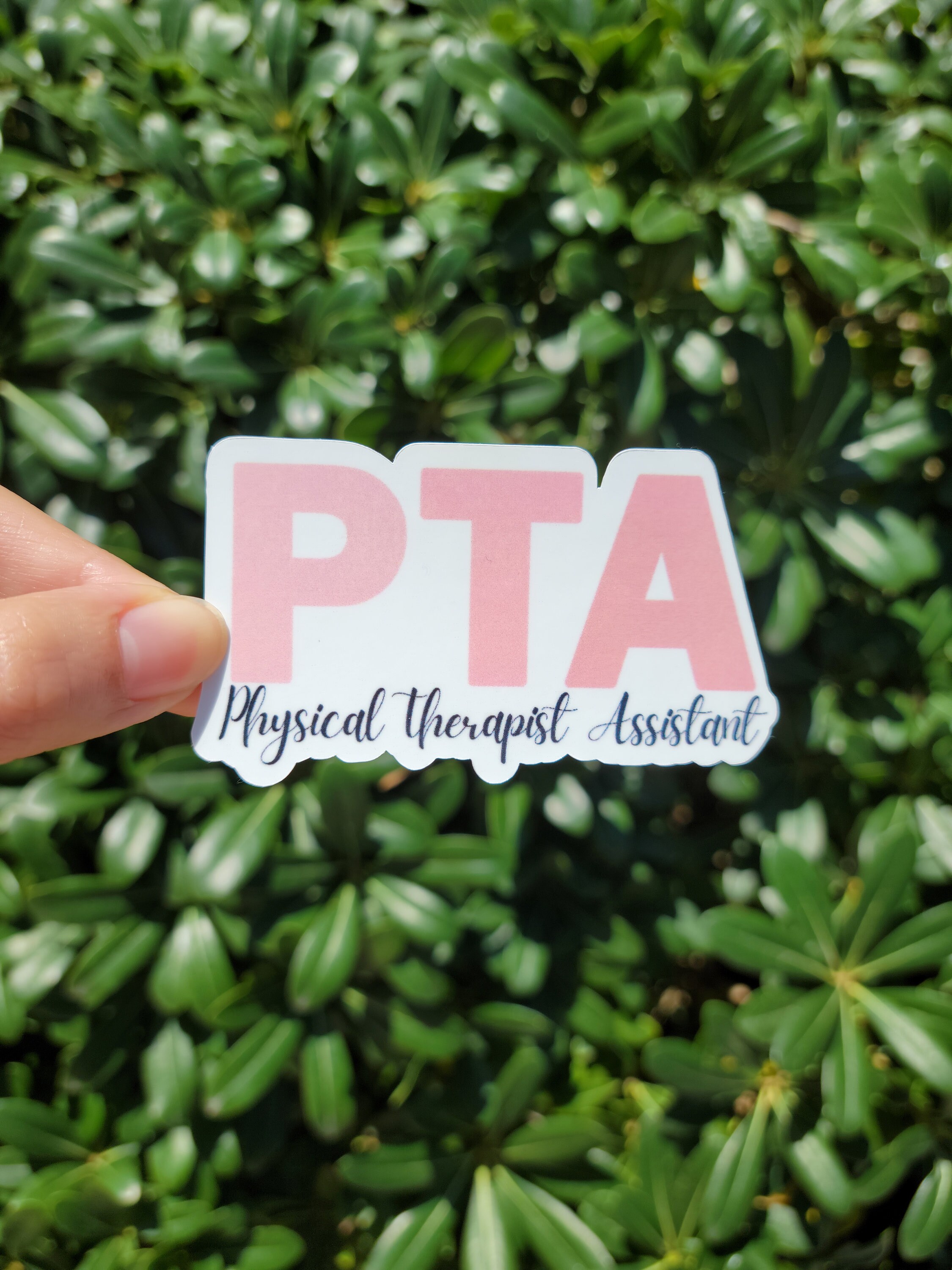 Physical Therapy Sticker Pack - Etsy