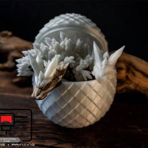 May include: A white 3D printed dragon sculpture emerging from a white egg-shaped container. The dragon has a spiky, crystalline texture and is partially visible from the open top of the egg.