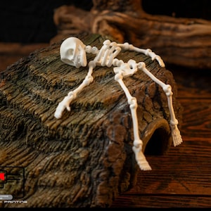 Articulated 3D printed Skeleton, fidget toy
