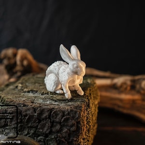 Articulated 3D printed Bunny, flexi animal, fidget toy