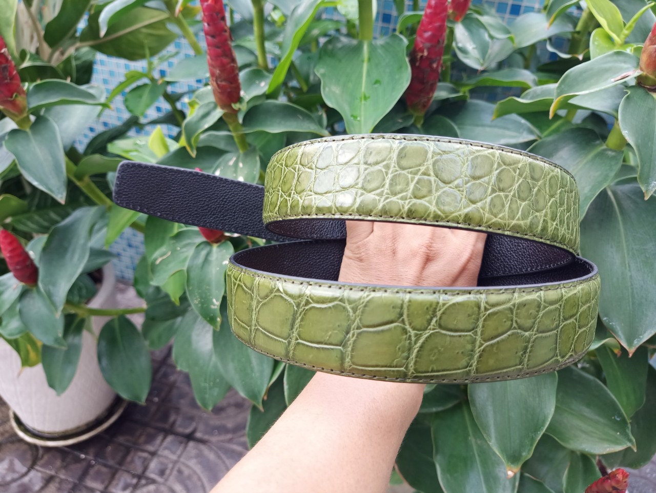 Premium Green Genuine Alligator Leather Skin Men's Belt | Etsy