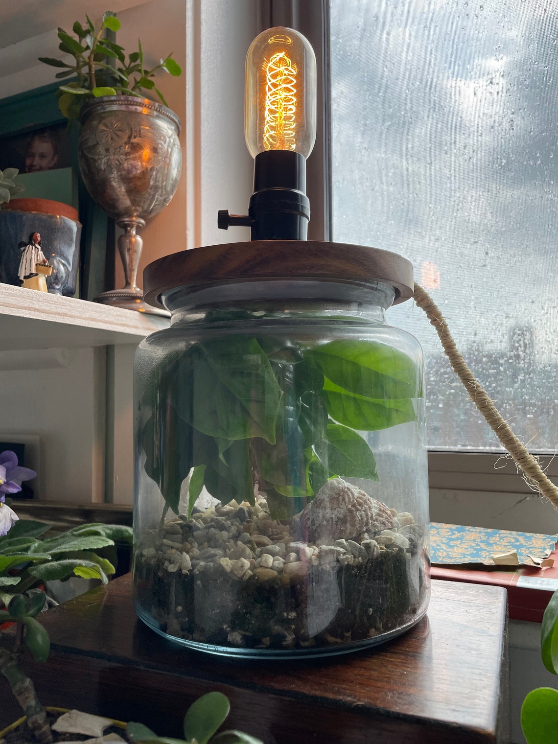 Terrarium Lamp Etsy
