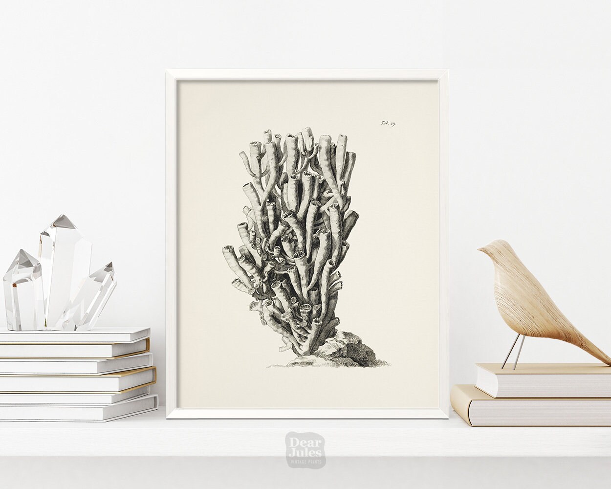 Sea Coral Drawing Antique Repro Print | Vintage Marine Life Scientific Illustration | 1800s French Pencil Drawing  | Giclée Art Print