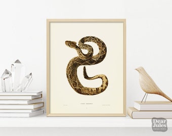 Vintage Snake Painting Poster | Rattle Snake Reptile Art | Giclée Art Print