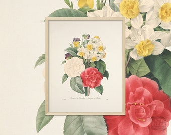 French Botanical Print | Redoute Floral Artwork | Flower Bouquet of Camellia, Daffodil, Pansy Botany Print | Vintage Artwork Giclée Print