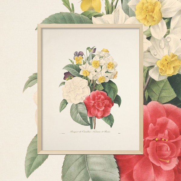 Impression botanique française | Oeuvre d'art floral Redoute | Bouquet de fleurs de camélia, jonquille, pensée botanique Impression | Impression giclée d'oeuvres d'art vintage