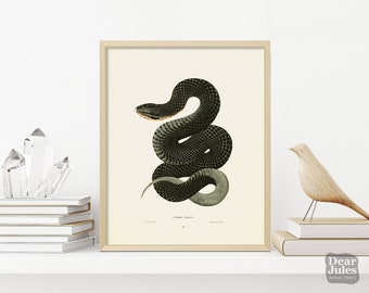affiche vintage de peinture de serpent | Oeuvre d'art représentant un reptile serpent noir | Impression d'art giclée