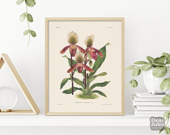 Orchid Artwork Botanical Print | Antique Botanical Poster Repro | Gardener Present | Gift for Plant Lovers | Giclée Print Quality