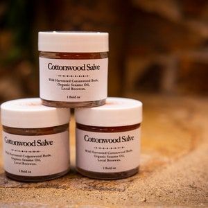 PNW Wildcrafted Cottonwood Bud Salve - Balm of Gilead