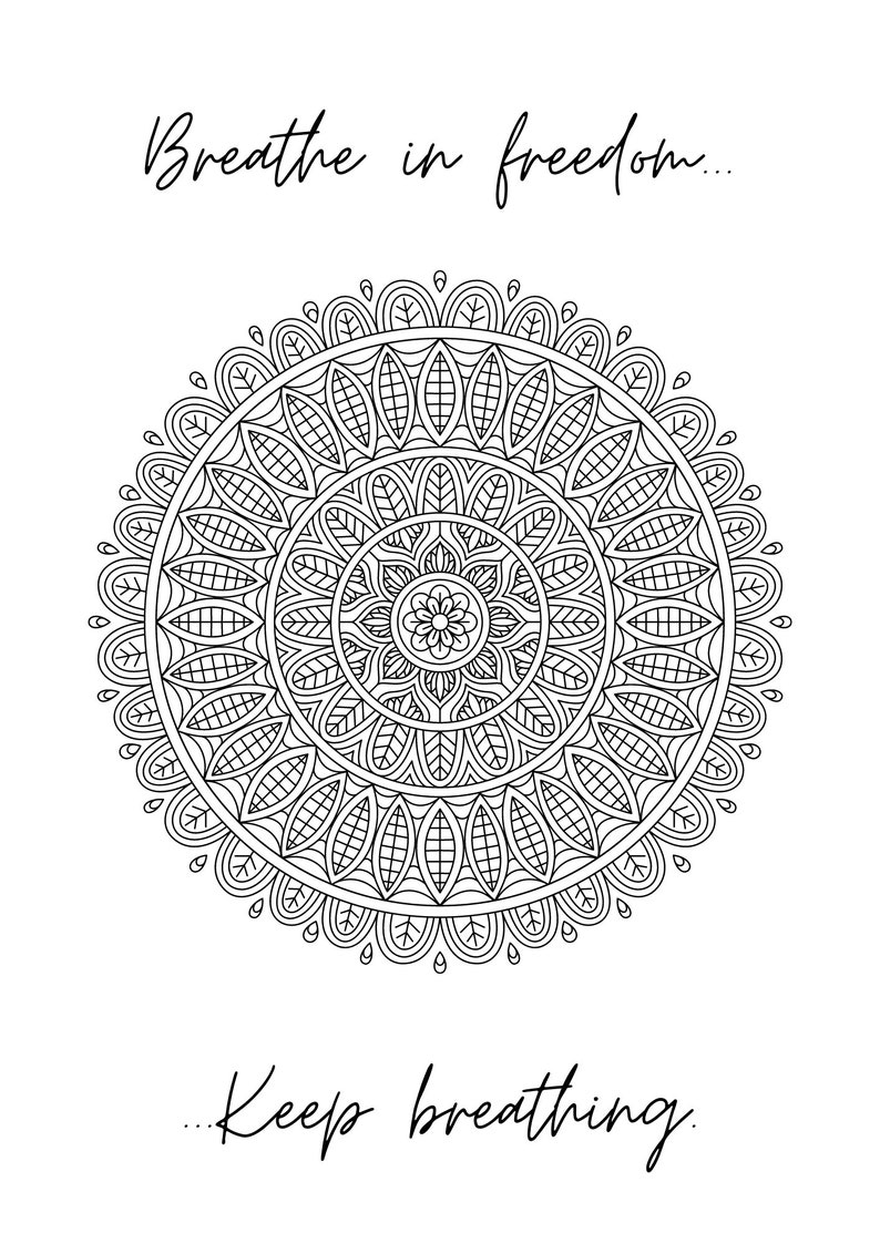 Mandalas & Meditations Coloring Book, 9 Pages of Intricate Mandalas to