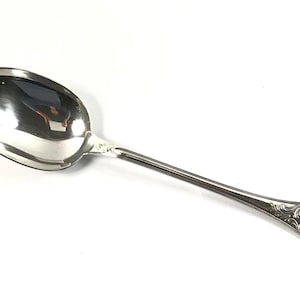 May include: A silver spoon with an ornate handle. The spoon has a rounded bowl and a long, slender handle.