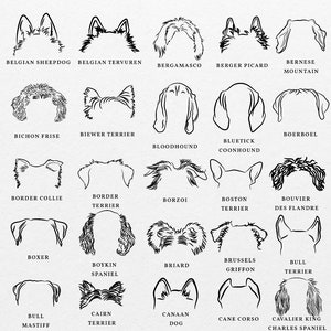 Puede incluir: Dibujos en blanco y negro de diferentes razas de perros, incluyendo el Pastor Belga, el Tervuren Belga, el Bergamasco, el Berger Picard, el Boyero de Berna, el Bich&oacute;n Fris&eacute;, el Biewer Terrier, el Boerboel, el Bloodhound, el Coonhound de pelo azul, el Border Collie, el Border Terrier, el Borzoi, el Boston Terrier, el Bouvier des Flandres, el Boxer, el Spaniel Boykin, el Briard, el Griffon Bruselas, el Bull Terrier, el Mast&iacute;n Ingl&eacute;s, el Cairn Terrier, el Perro de Cana&aacute;n, el Cane Corso y el Cavalier King Charles Spaniel.