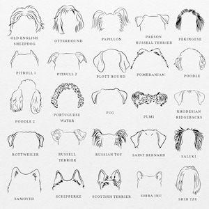 Puede incluir: Dibujos en blanco y negro de diferentes razas de perros, incluyendo Old English Sheepdog, Otterhound, Papillon, Parson Russell Terrier, Pekin&eacute;s, Pitbull, Plott Hound, Pomerania, Caniche, Perro de Agua Portugu&eacute;s, Pug, Pumi, Rhodesian Ridgeback, Rottweiler, Russell Terrier, Toy Ruso, San Bernardo, Saluki, Samoyedo, Schipperke, Terrier Escoc&eacute;s, Shiba Inu y Shih Tzu.