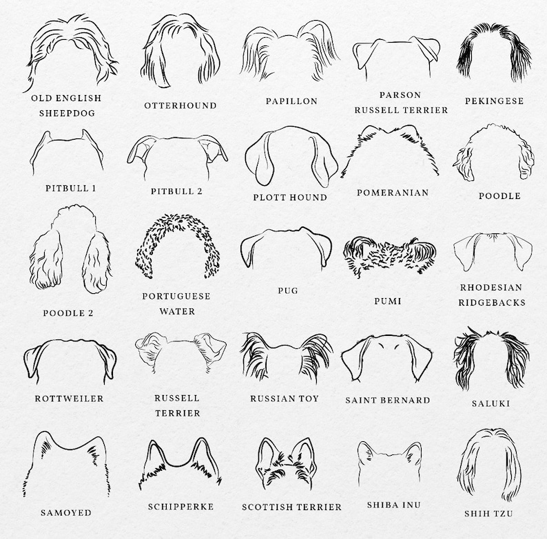 Puede incluir: Dibujos en blanco y negro de diferentes razas de perros, incluyendo Old English Sheepdog, Otterhound, Papillon, Parson Russell Terrier, Pekin&eacute;s, Pitbull, Plott Hound, Pomerania, Caniche, Perro de Agua Portugu&eacute;s, Pug, Pumi, Rhodesian Ridgeback, Rottweiler, Russell Terrier, Toy Ruso, San Bernardo, Saluki, Samoyedo, Schipperke, Terrier Escoc&eacute;s, Shiba Inu y Shih Tzu.