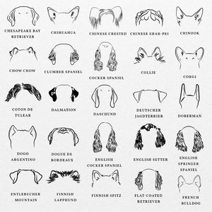 Puede incluir: Dibujos en blanco y negro de diferentes razas de perros, incluyendo el Chesapeake Bay Retriever, el Chihuahua, el Chinese Crested, el Chinese Shar-Pei, el Chinook, el Chow Chow, el Clumber Spaniel, el Cocker Spaniel, el Collie, el Corgi, el Coton de Tulear, el D&aacute;lmata, el Dachshund, el Braco Alem&aacute;n de Pelo Corto, el Doberman, el Dogo Argentino, el Dogue de Bordeaux, el Cocker Spaniel Ingl&eacute;s, el Setter Ingl&eacute;s, el Springer Spaniel Ingl&eacute;s, el Entlebucher Mountain Dog, el Lapphund finland&eacute;s, el Spitz finland&eacute;s, el Flat-Coated Retriever y el Bulldog Franc&eacute;s.