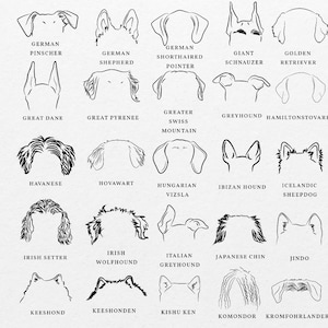 Puede incluir: Ilustraciones en blanco y negro de diferentes razas de perros, incluyendo Pinscher alem&aacute;n, Pastor alem&aacute;n, Braco alem&aacute;n de pelo corto, Schnauzer gigante, Golden Retriever, Gran Dan&eacute;s, Perro de monta&ntilde;a de los Pirineos, Boyero de Berna, Galgo, Hamiltonst&ouml;vare, Bich&oacute;n habanero, Hovawart, Vizsla h&uacute;ngaro, Podenco ibicenco, Pastor island&eacute;s, Setter irland&eacute;s, Lebrel irland&eacute;s, Galgo italiano, Chin japon&eacute;s, Jindo, Keeshond, Keeshonden, Kishu Ken, Komondor y Kromfohrl&auml;nder.
