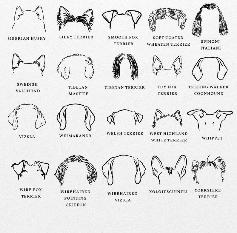 Puede incluir: Dibujos en blanco y negro de diferentes razas de perros, incluyendo el Husky siberiano, el Terrier sedoso, el Fox Terrier de pelo liso, el Wheaten Terrier de pelo suave, el Spinoni italiano, el Vallhund sueco, el Mast&iacute;n tibetano, el Terrier tibetano, el Toy Fox Terrier, el Coonhound Treeing Walker, el Vizsla, el Weimaraner, el Terrier gal&eacute;s, el West Highland White Terrier, el Whippet, el Wire Fox Terrier, el Griffon de pelo duro, el Vizsla de pelo duro, el Xoloitzcuintli y el Yorkshire Terrier.