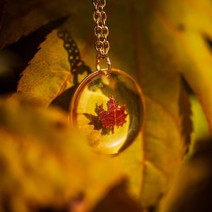 Kanadische Rote Ahornblatt Halskette, Crimson King Maple Leaf, Botanischer Schmuck, Terrarium Halskette, Ahorn, Winzige Frühlingsblätter, Ahornblatt